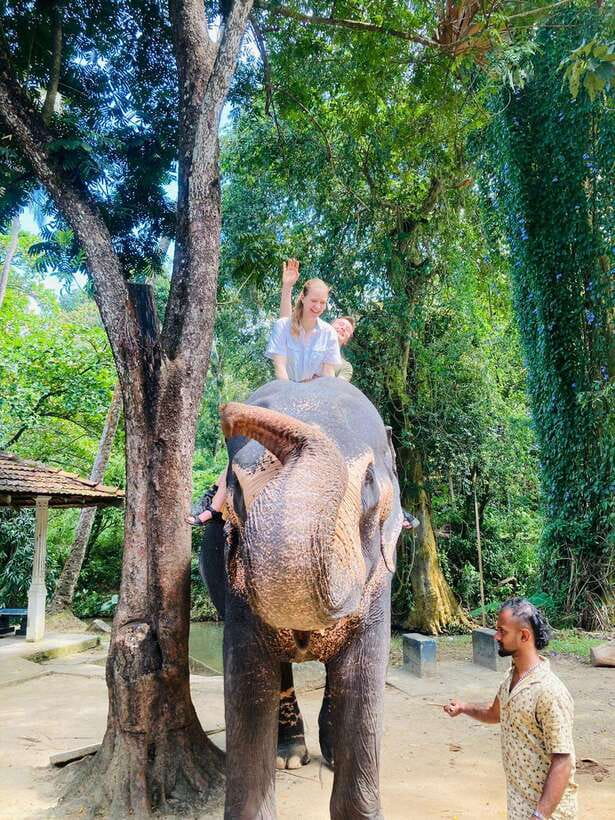 From Kandy : Pinnawala Elephant Orphanage & Ambuluwawa Tower - Who should book this Kandy day trip