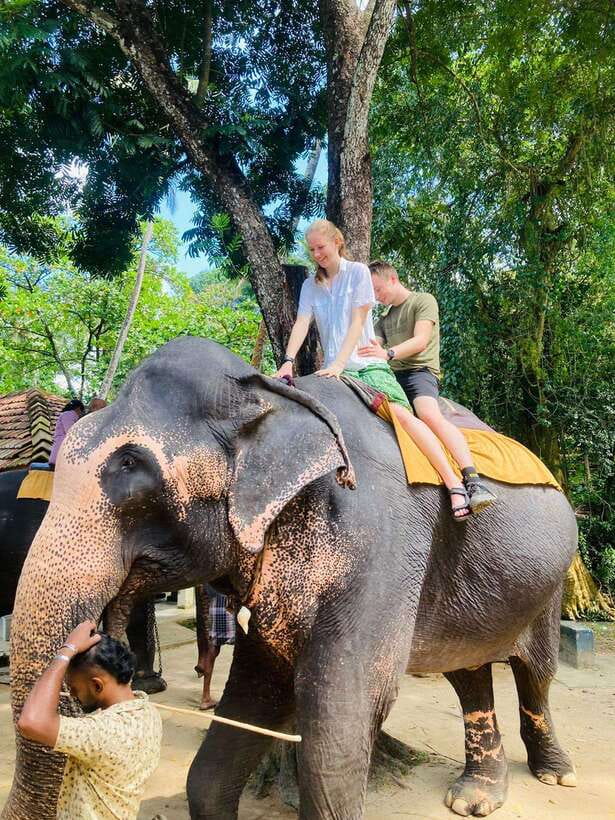 From Kandy : Pinnawala Elephant Orphanage & Ambuluwawa Tower - Ambuluwawa Tower: the stair workout that buys you the views
