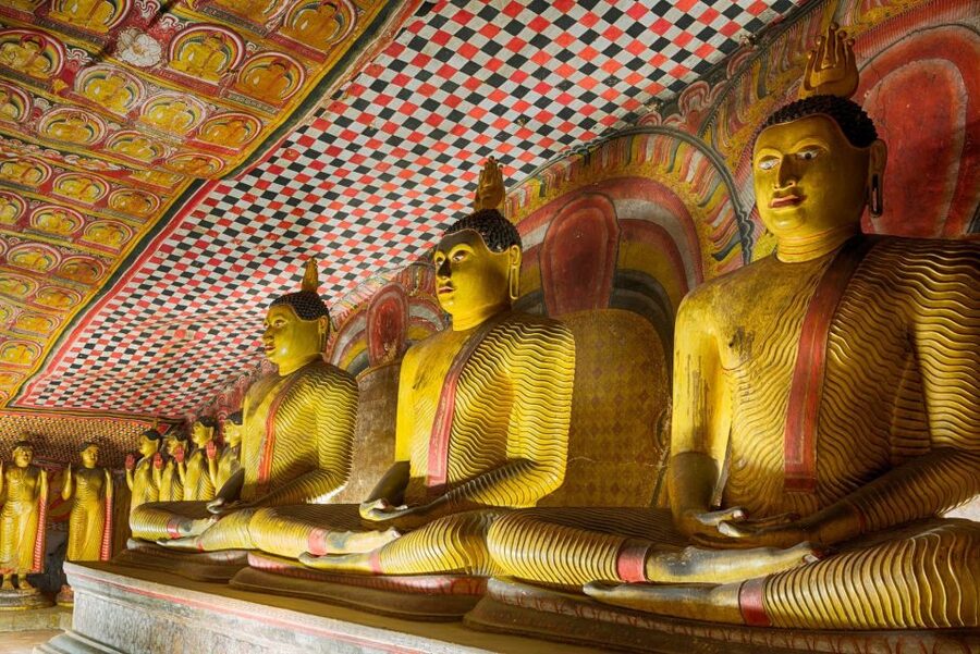 From Kandy: Sigiriya and Dambulla Day Trip - Who this day trip is best for
