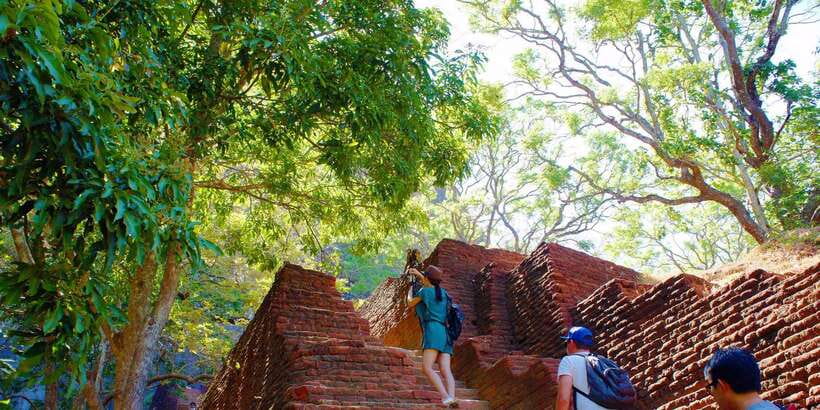 From Kandy: Sigiriya and Dambulla Day Trip and Safari - Wildlife viewing near Kaudulla: what you get, and what costs extra