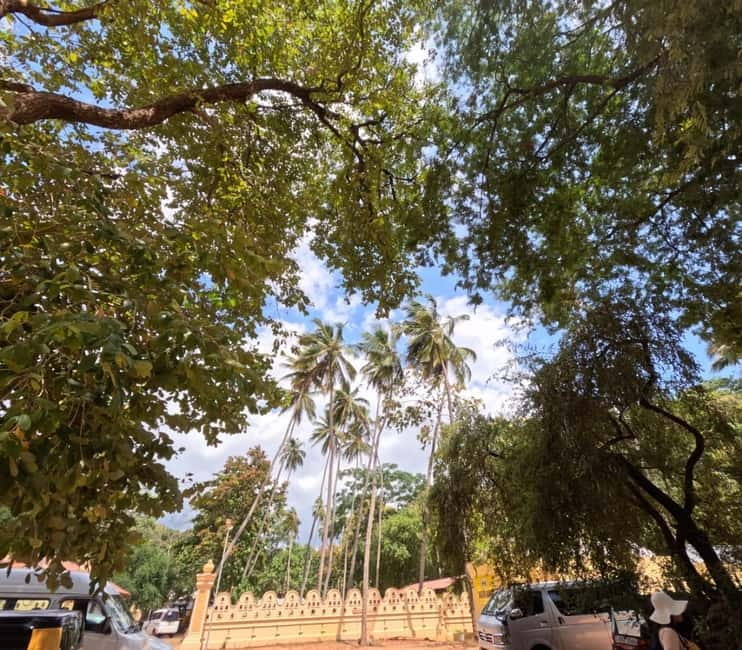 From Kandy: Sigiriya & Dambulla Day Tour with Safari - Safari jeep expectations, and what costs may be extra