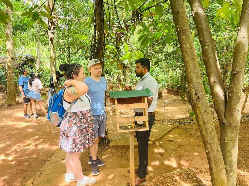 From Kandy: Sigiriya Day Tour with Elephant Safari(group) - From Kandy to Sigiriya: what your “one day” really includes