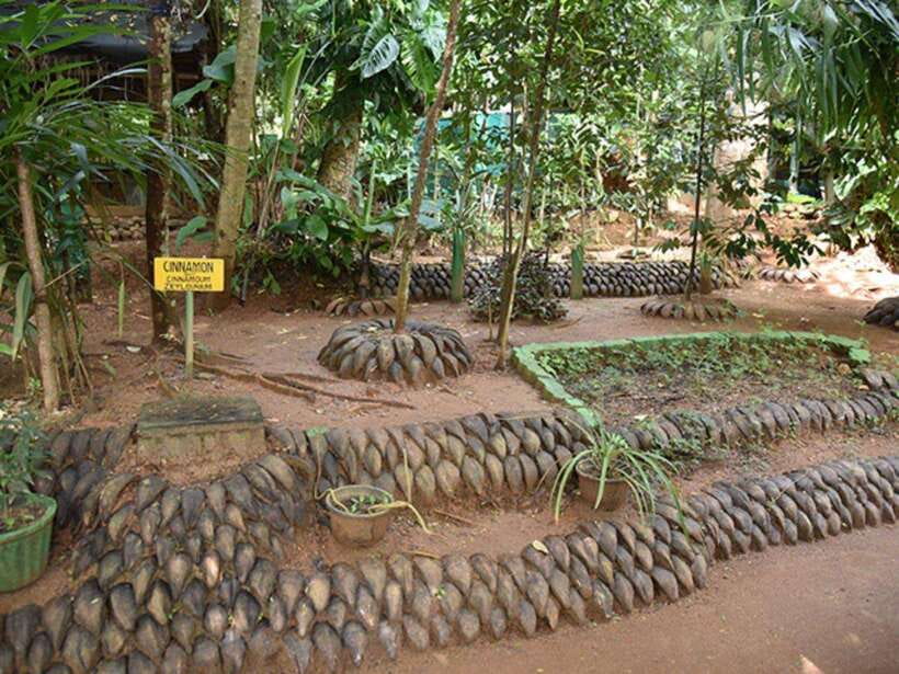 From Kandy: Sigiriya Guided Tuk-Tuk Tour - A Tuk-Tuk Day Trip That Turns Kandy to Sigiriya into Real Sightseeing