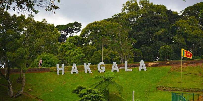 From Kandy To Nuwara Eliya Drop Tour - Private Tour - Ramboda viewpoint and Ramboda Waterfall in real mountain air