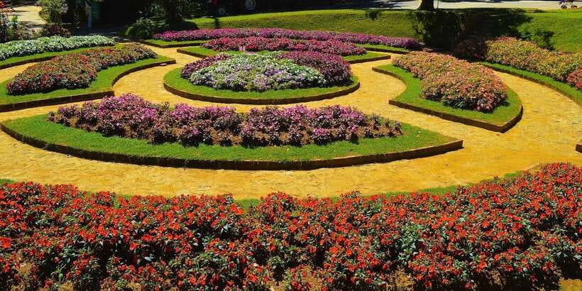 From Kandy To Nuwara Eliya Drop Tour - Private Tour - Dress code and packing: your day can turn cold fast