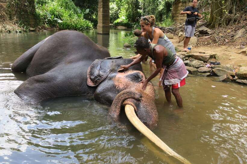 From Kandy To Pinnawala Private Day Tour via Ambuluwawa - Pinnawala Elephant Orphanage: Your Main Stop, and How to Make It Count