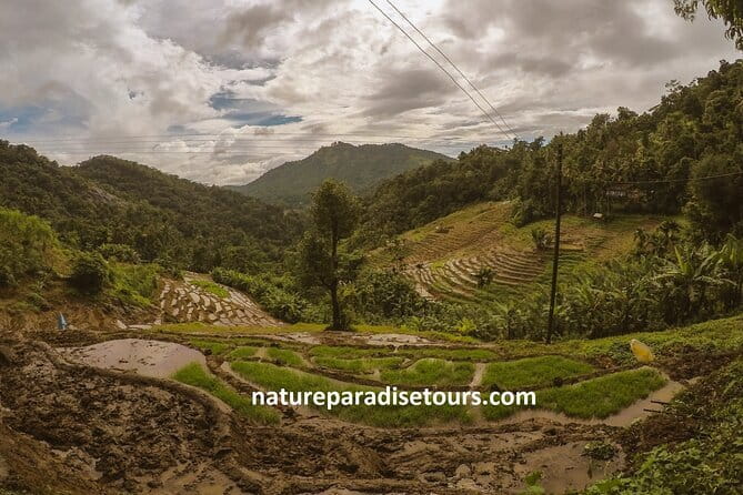 From Kandy to sigirya day tour bay car and van - The driver-guide makes or breaks the day (and this one scores well)