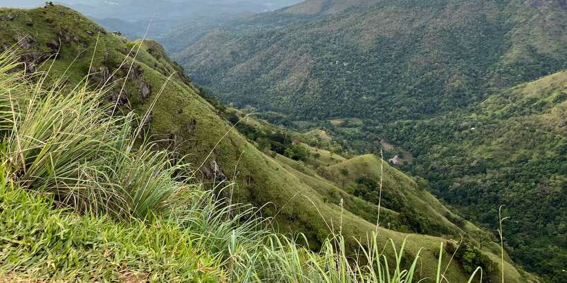 From kandy Train, and Pool Club Day Tour with Pickup - Nuwara Eliya’s tea-country mood, plus a cool-climate break