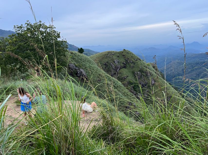 From kandy Train, and Pool Club Day Tour with Pickup - The short train ride: why it’s worth paying attention