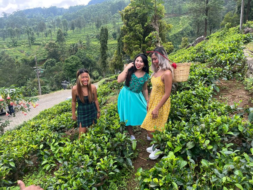 From kandy Train, and Pool Club Day Tour with Pickup - Price and logistics: what $75 gets you, and what it doesn’t