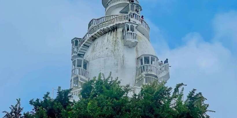 From Negombo: Ambuluwawa Tower & Tea Factory,Kandy Day Trip - Tea factory and tea estate: a quick lesson you can actually use