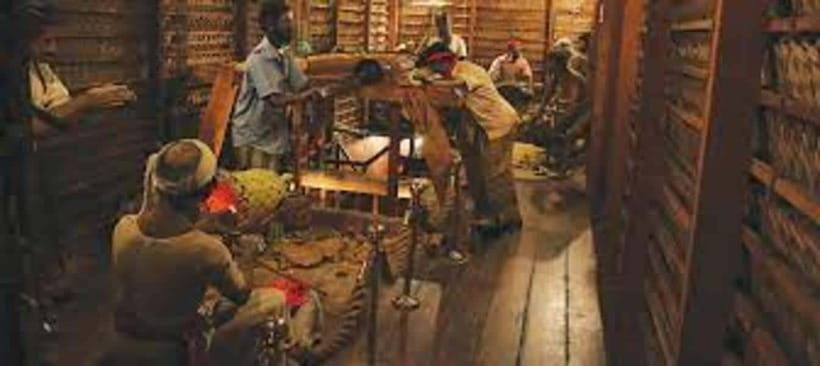 From Negombo : Pinnawala & Tea Factory & Kandy Full Day Trip - The Temple of the Sacred Tooth Relic, Respect, Context, and Timing