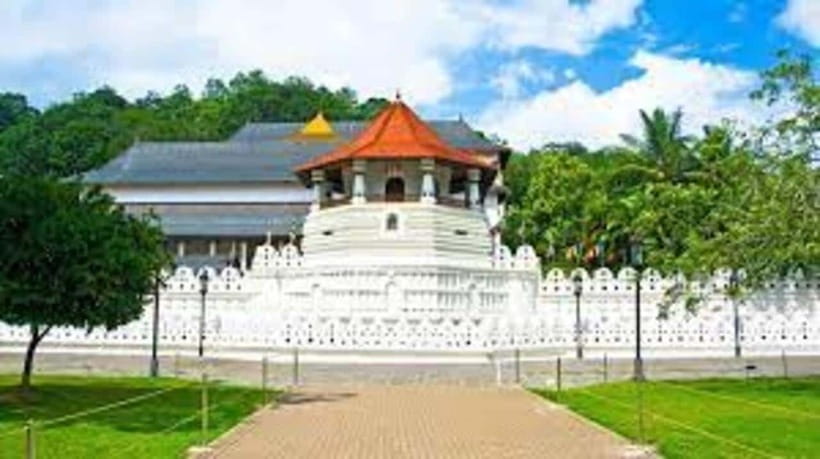 From Negombo : Pinnawala & Tea Factory & Kandy Full Day Trip - Kandy Lake, Kandy Viewpoints, and Photo Breaks That Work