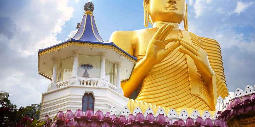 From Negombo: Sigiriya and Dambulla Day Trip and Safari - Returning to Negombo: A Late Evening, Manageable If You Prep