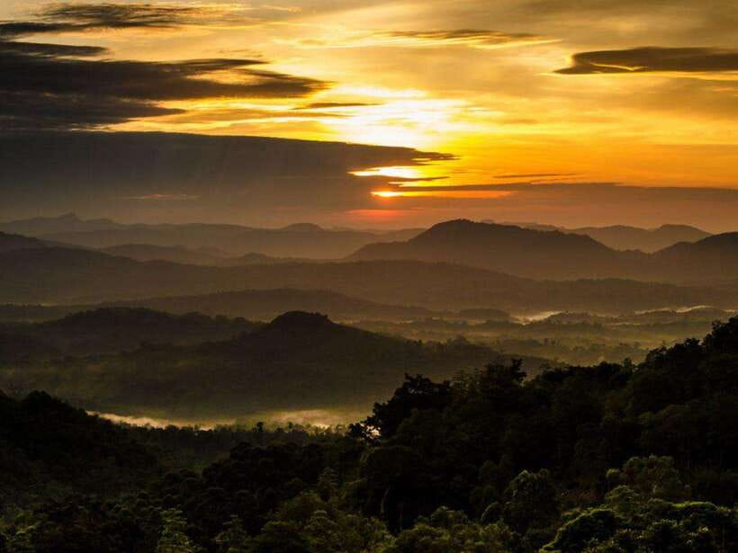From Nuwara Eliya: Summit Bliss, Adams Peak Guided Hike - Key highlights and what they mean