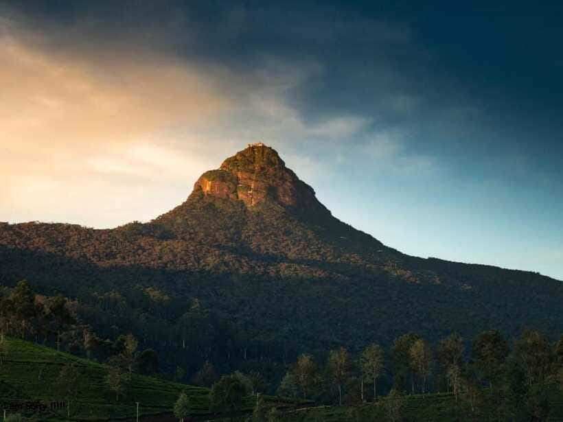 From Nuwara Eliya: Summit Bliss, Adams Peak Guided Hike - Price and value: what $100 buys you, and what it might not