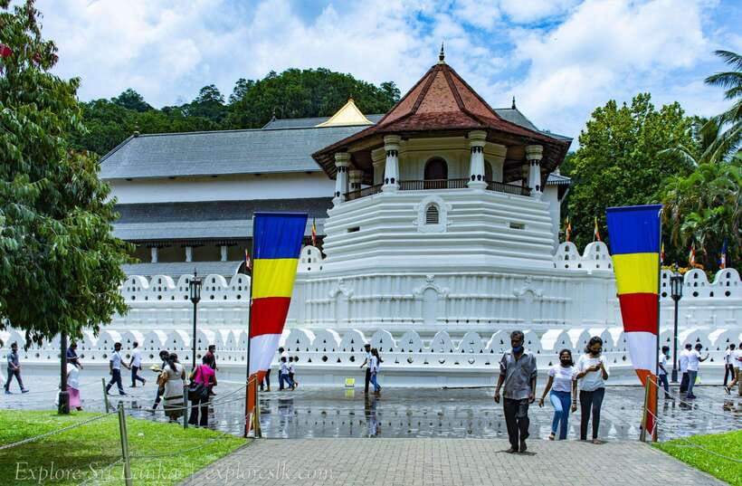 From Nuwara Eliya To Kandy Drop Tour - Giant Java Fig Tree and Woodcarving Family House With a Local Feel