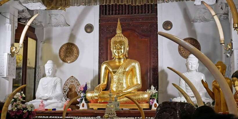 From Sigiriya: Kandy Transfer with Dambulla and Spice Garden - Key highlights at a glance