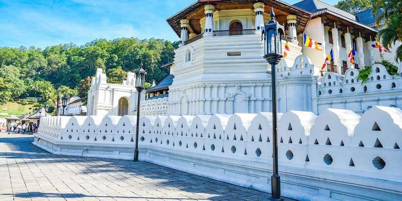 From Sigiriya: Kandy Transfer with Dambulla and Spice Garden - A guided spice garden for cinnamon, cloves, and cardamom