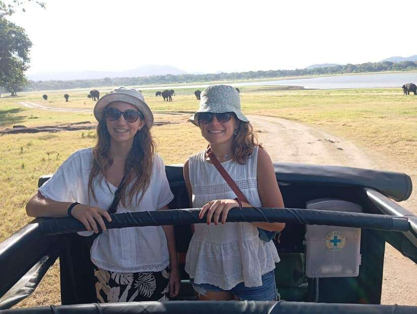 From Sigiriya: Minneriya National Park Half-Day Jeep Safari - The main event: Minneriya’s elephant gathering (and why it feels unreal)
