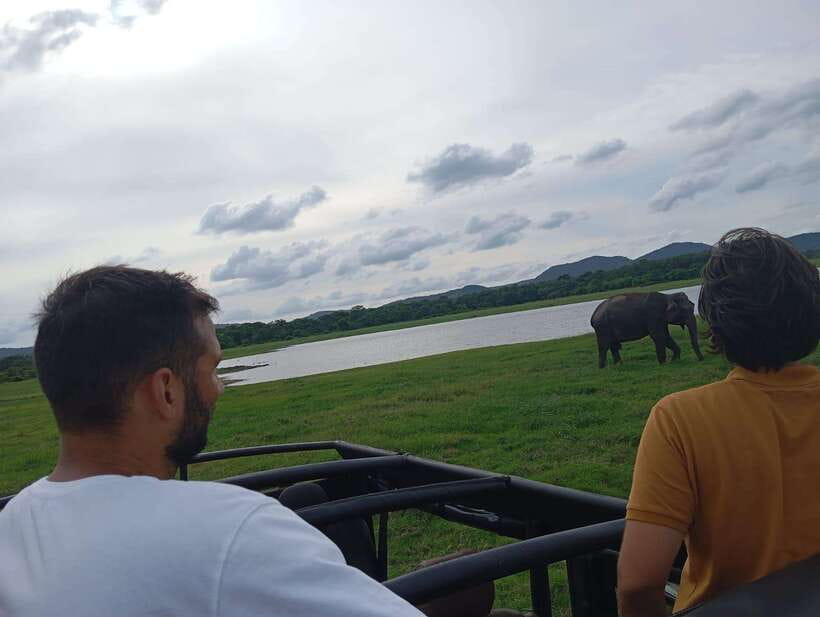 From Sigiriya: Minneriya National Park Half-Day Jeep Safari - Who should book this Minneriya half-day jeep safari