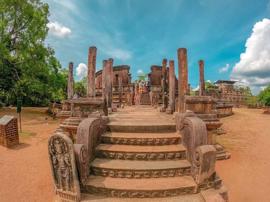 From Sigiriya: Minneriya National Park Half Day Safari - Key things that make this safari worth your time