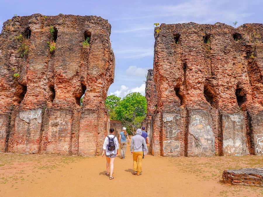 From Sigiriya: Minneriya National Park Half Day Safari - The Elephant Gathering: what you’re actually looking for