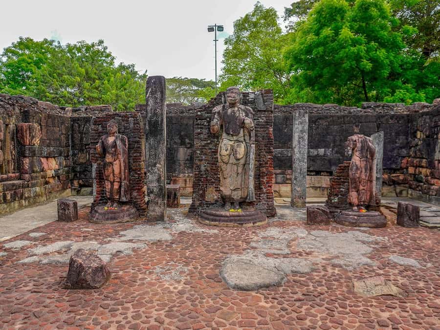 From Sigiriya: Minneriya National Park Half Day Safari - How the guides improve your odds (and your patience)