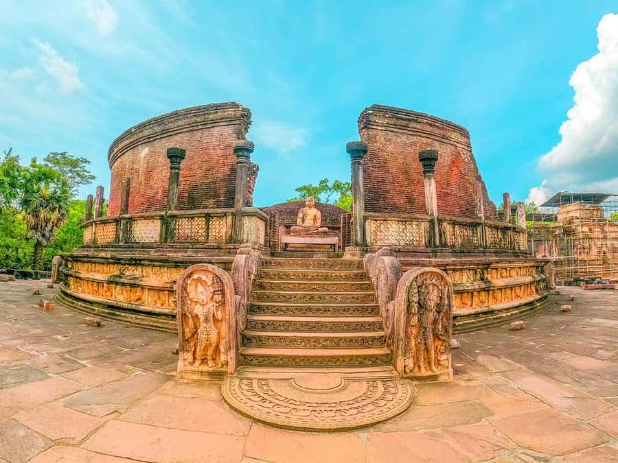 From Sigiriya: Minneriya National Park Half Day Safari - Pickup to park: how the half-day timing works from Sigiriya