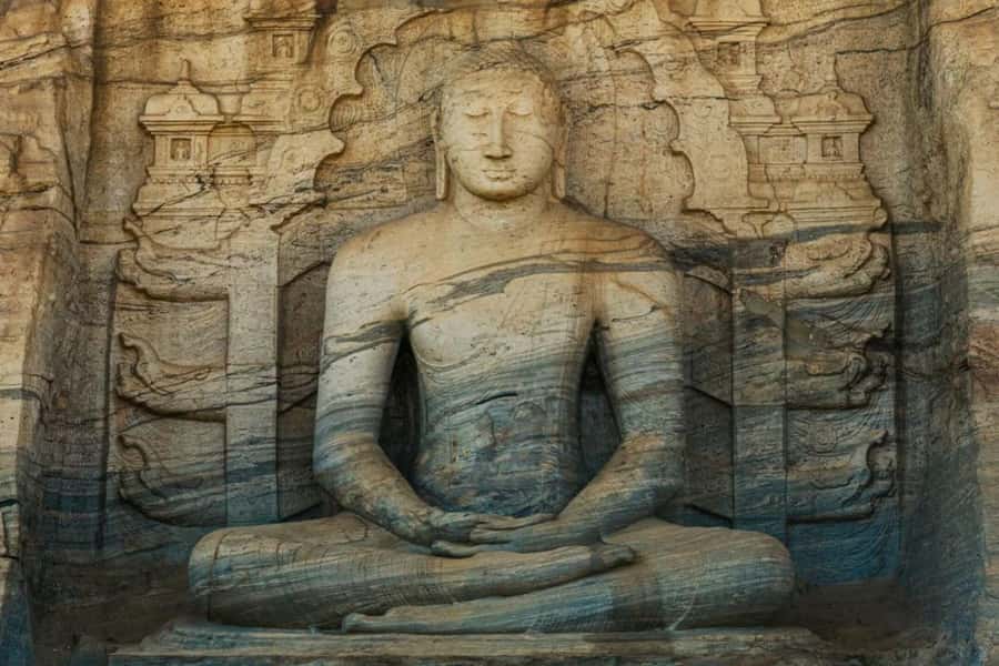 From Sigiriya :Polonnaruwa Ancient City Tour/Day Tour - Key highlights to know before you go