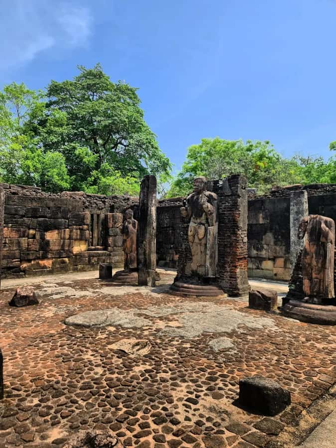From Sigiriya :Polonnaruwa Ancient City Tour/Day Tour - Royal Palace Complex: feeling the layout of power