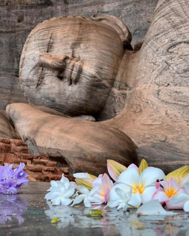 From Sigiriya :Polonnaruwa Ancient City Tour/Day Tour - Getting there smoothly: private transport, safari jeep, and real timing