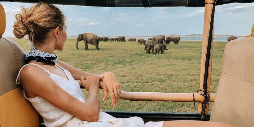 From Tangalle/Hiriketiya: Ella Transfer & Udawalawe Safari - Key highlights you will actually care about