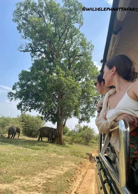 From Tangalle/ Hiriketiya: Yala Safari with Drop: Ella - Price and park fees, what $11 really means
