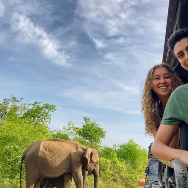 From Tangalle/ Hiriketiya: Yala Safari with Drop: Ella - Drawbacks to expect, and how to plan around them
