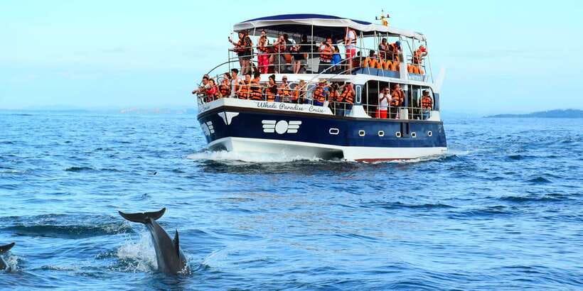 From Tangalle: Mirissa Whale Watching Tour with Breakfast - Tangalle to Mirissa, With an Air-Conditioned Cushion