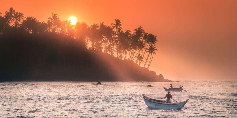 From Tangalle: Mirissa Whale Watching Tour with Breakfast - Price and Value at $153: What You Are Paying For