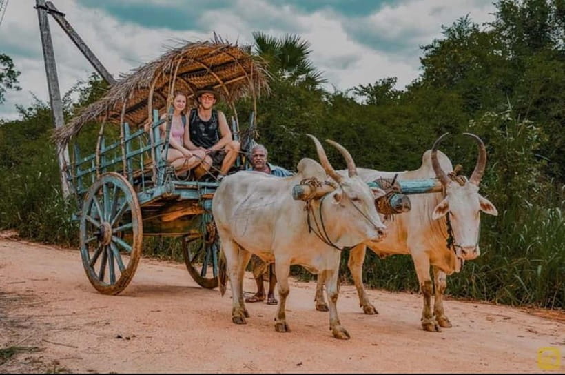 From Trincomalee: Village Tour & Minneriya Elephant Safari - Optional Workshops: Jewelry, Ayurvedic Herbs, and Silk