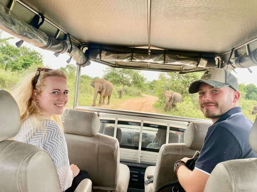 From Udawalawa : Udawalawa National Park Safari Tours - Pickup, Timing, and How the 3-Hour Safari Day Flows