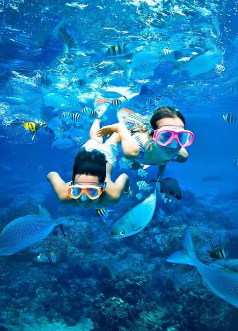 From Uppuveli Beach: Pigeon Island Snorkeling Tour - Key things to know before you go