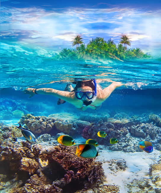 From Uppuveli Beach: Pigeon Island Snorkeling Tour - First stop: Trinco Bay Center at Fernando’s Beach Market