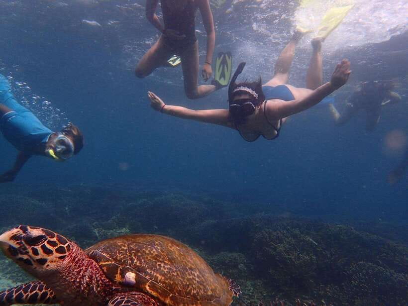 From Uppuveli Beach: Pigeon Island Snorkeling Tour - Gear up and get your safety rhythm before you swim