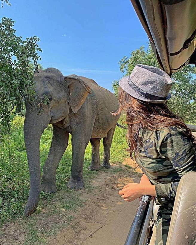 From Weligama : Udawalawa National Park Safari Tour - A Smooth Start From Weligama and Nearby Towns