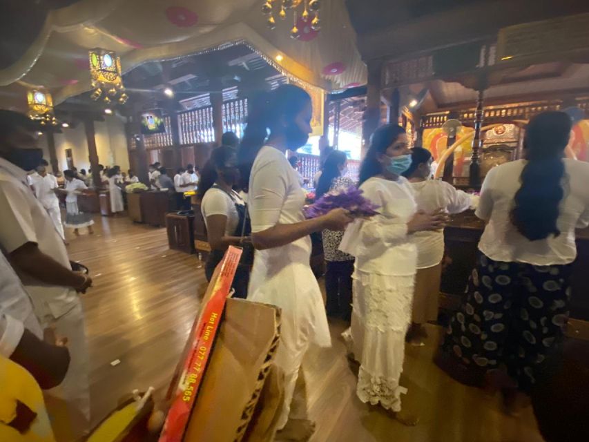 From west coast: Kandy, Tooth temple, Botanical & Tea garden - Price and logistics: what $84 really buys you