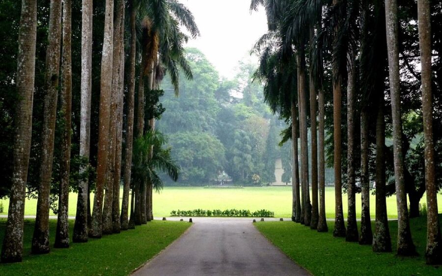 From west coast: Kandy, Tooth temple, Botanical & Tea garden - Comfort and practical tips so the day stays enjoyable