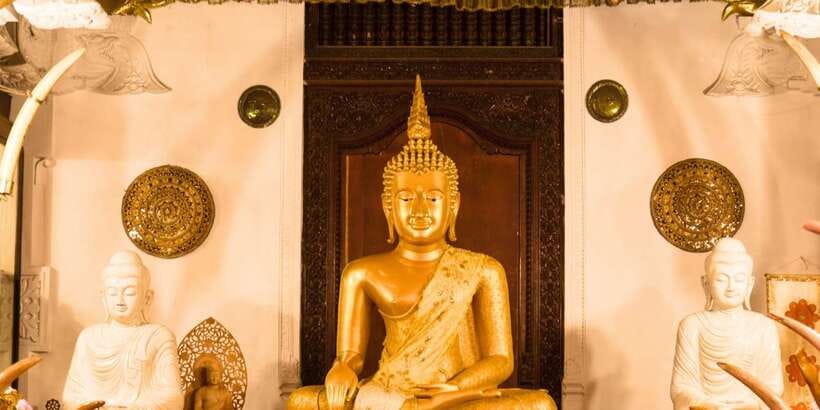 From west coast: Kandy, Tooth temple, Botanical & Tea garden - Who should book this Kandy day tour, and who might not