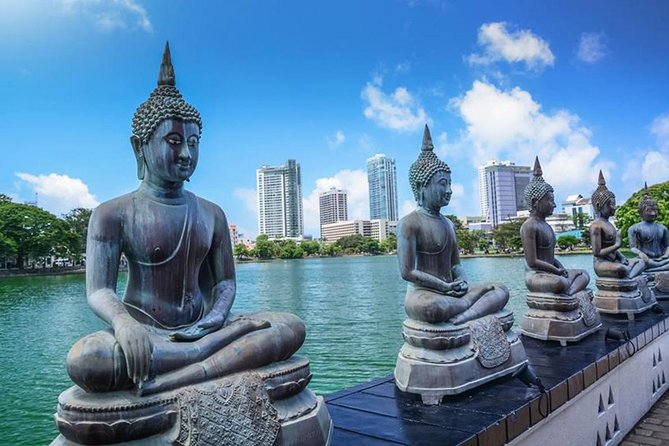 Full-Day Colombo City Tour (Private Car) - Diyatha Uyana and Dehiwala Zoo: a nature reset inside the city