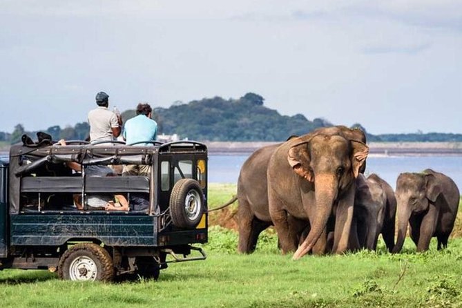 Full-Day Minneriya and Kaudulla National Parks Private Safari - Key highlights to know before you go