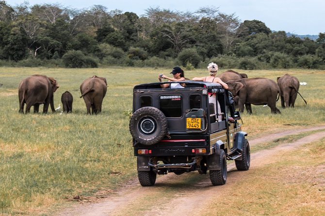 Full-Day Minneriya and Kaudulla National Parks Private Safari - Minneriya National Park: where the elephant goal gets real