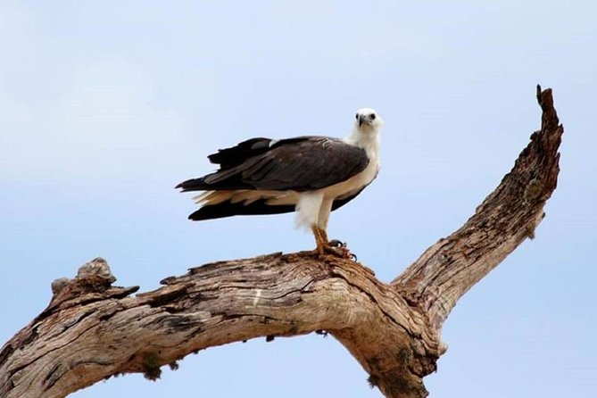 Full Day Private Safari at Yala National Park by Yala La Safari Tours - Your day in Yala: how the safari actually unfolds